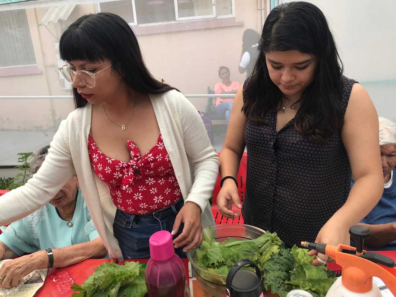 cultivando casa betti h 10