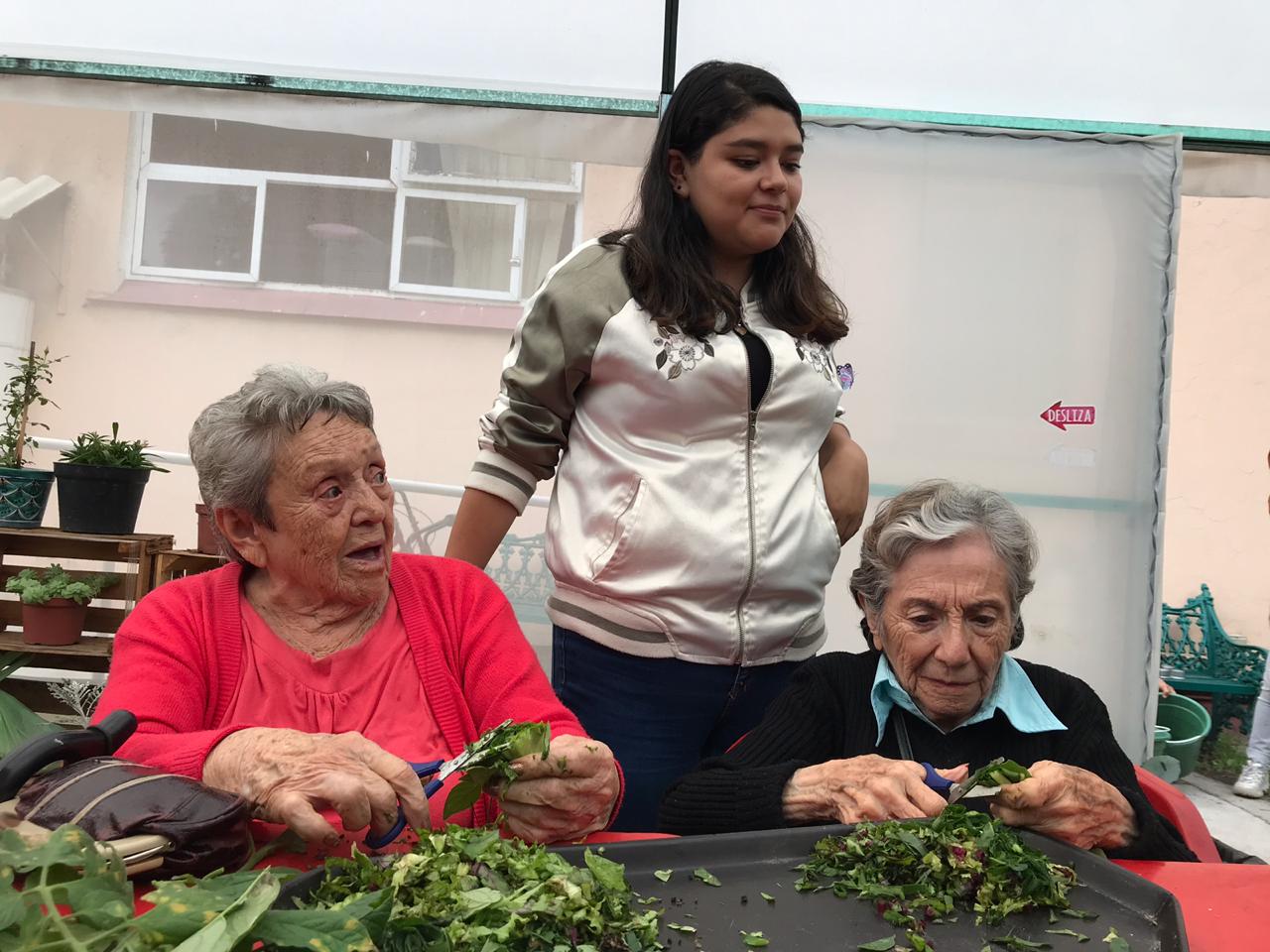 cultivando casa betti h 4