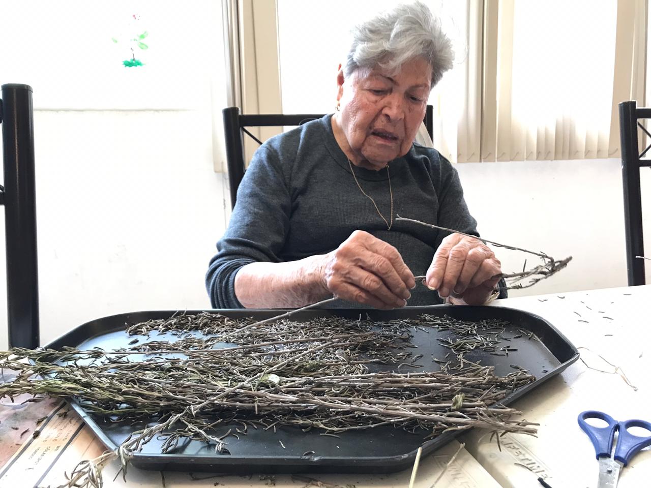 cultivando casa betti h 5