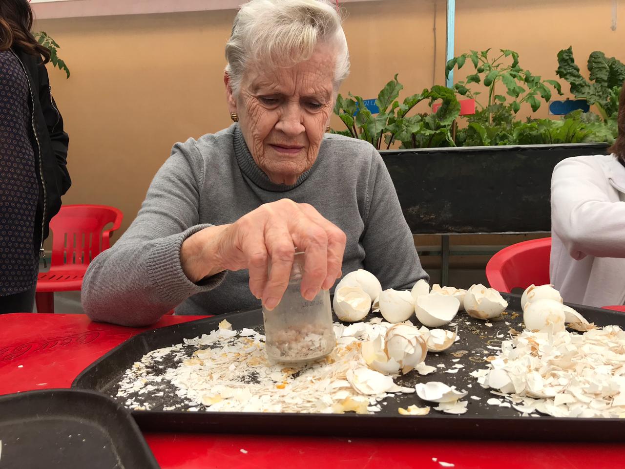 cultivando casa betti h 7