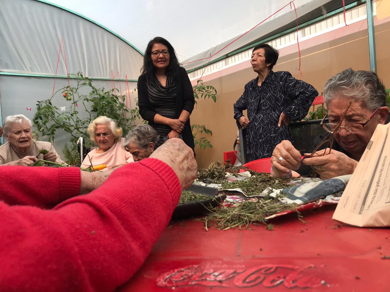 cultivando casa betti h 9