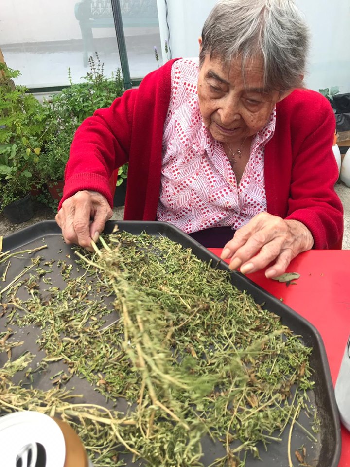 cultivando casa betti v 10