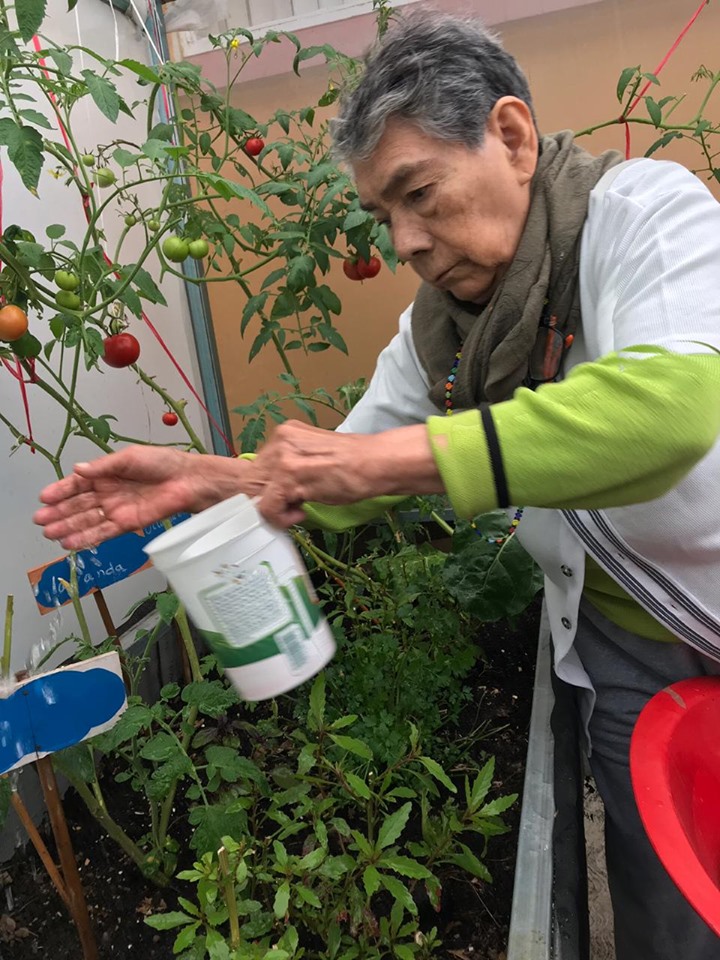 cultivando casa betti v 3