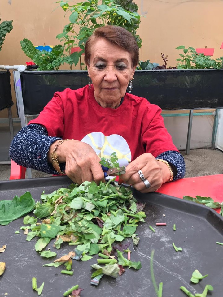 cultivando casa betti v 5