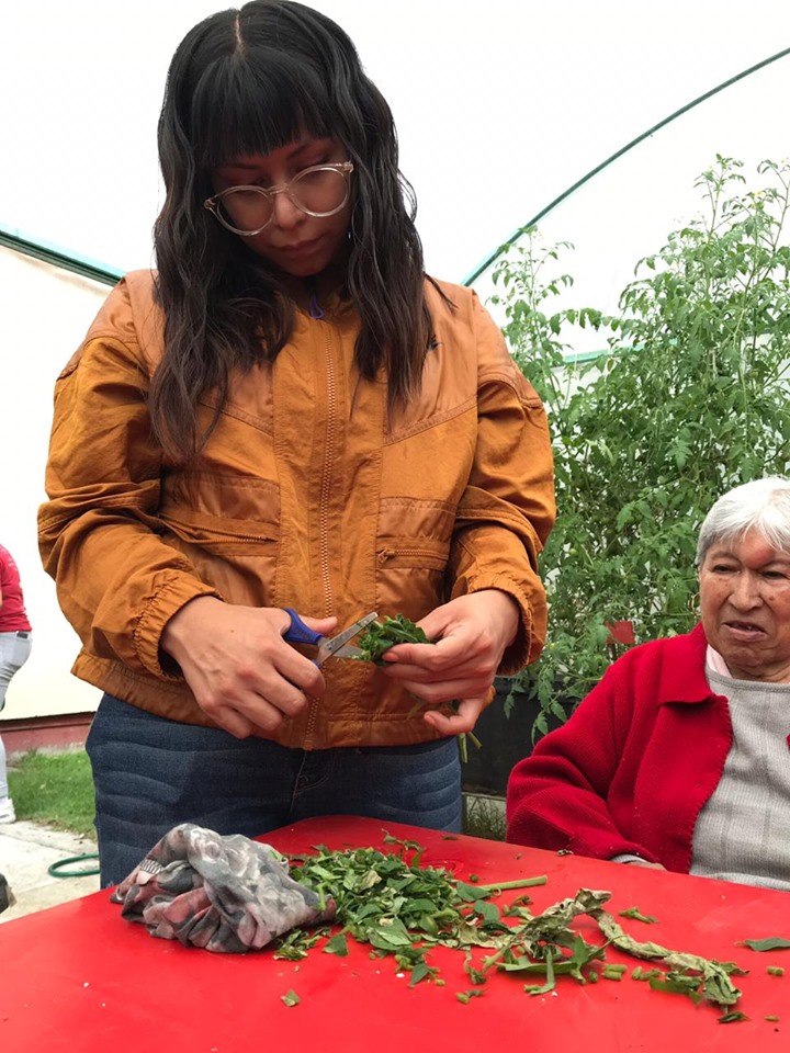 cultivando casa betti v 7