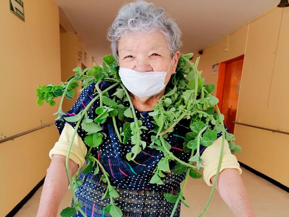 Angelita se echó encima varias ramas de la planta Vaporub