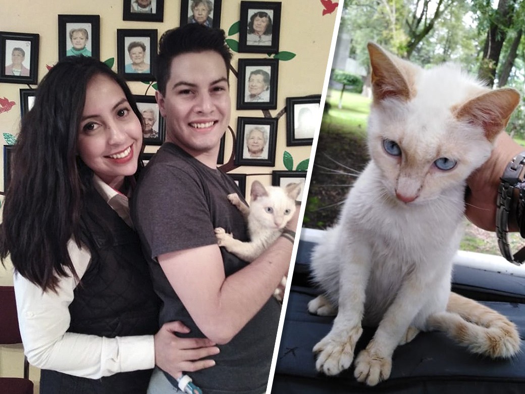 ¡Wendy encontró un nuevo hogar!