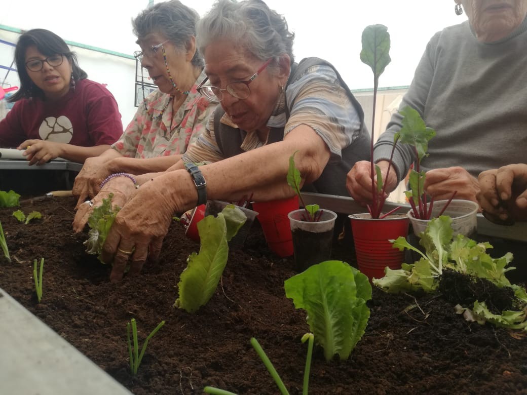 ¡Trabajando en el huerto de Casa Betti como nunca!