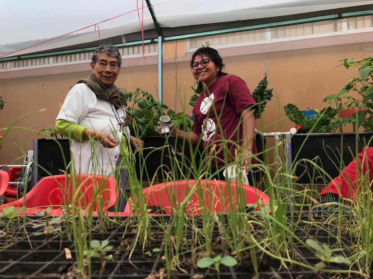 Trabajando juntas la tierra en Casa Betti